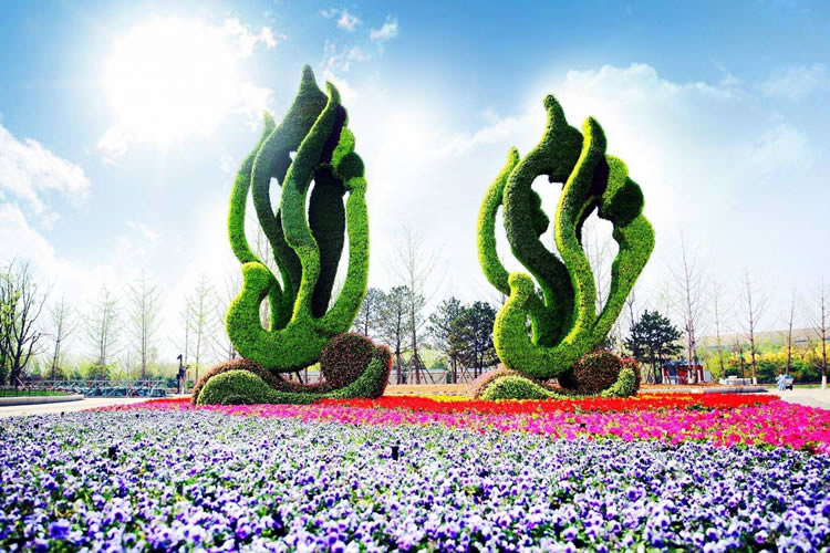 五一節(jié)五色草造型